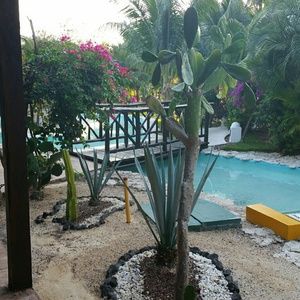 Meet your Posher, Deja